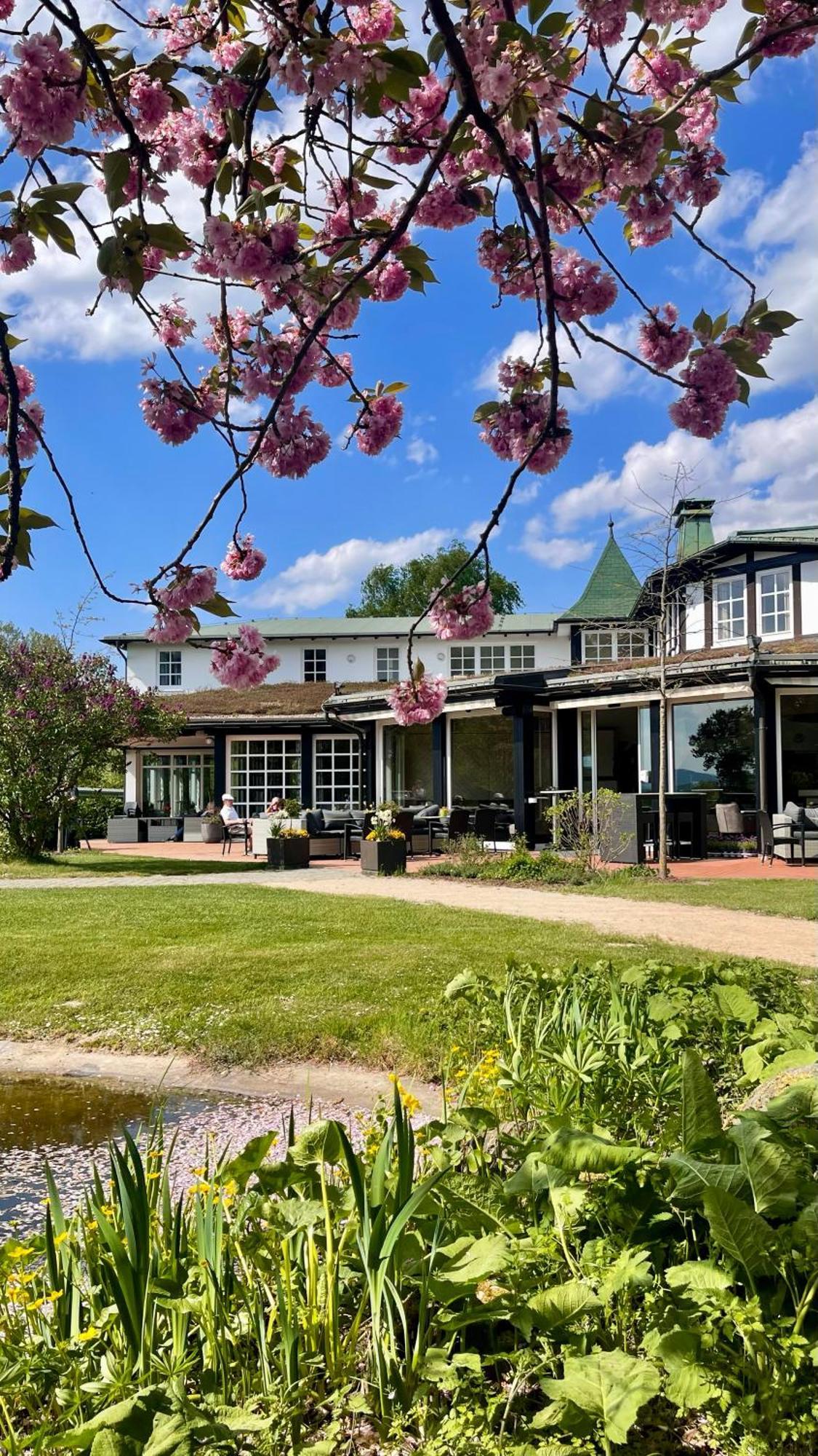 Hotel Deimann Schmallenberg Zewnętrze zdjęcie